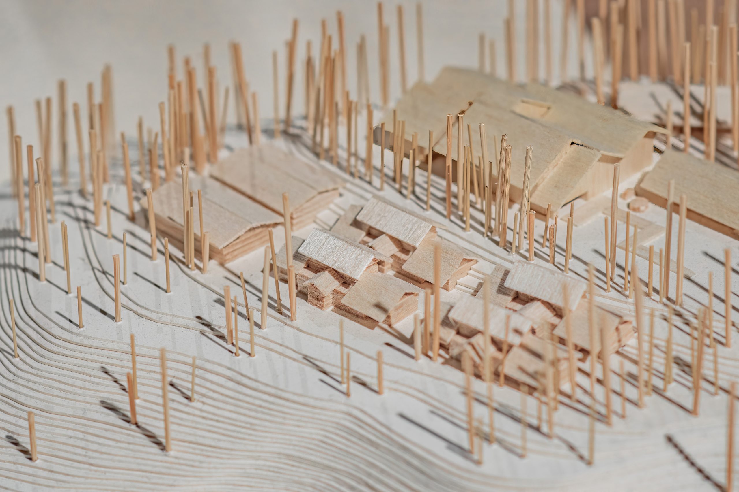 木造建築的低碳革命！走進「木的世代」感受永續美學 | 索引新聞 INDEX News