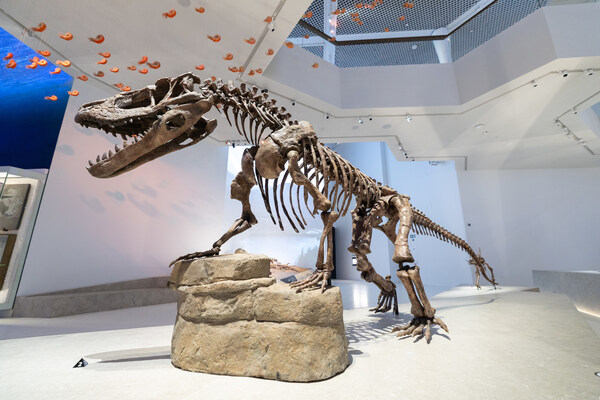 阿布札比酋長國王 Sheikh Khaled bin Mohamed bin Zayed Al Nahyan 殿下於薩迪亞特文化區為阿布札比自然歷史博物館揭幕 阿布札比酋長國王 Sheikh Khaled bin Mohamed bin Zayed Al Nahyan 殿下於薩迪亞特文化區為阿布札比自然歷史博物館揭幕