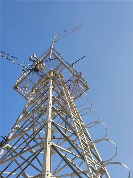 S__467394582_0 - 報新聞 Mega News