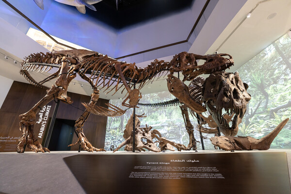 阿布札比酋長國王 Sheikh Khaled bin Mohamed bin Zayed Al Nahyan 殿下於薩迪亞特文化區為阿布札比自然歷史博物館揭幕 阿布札比酋長國王 Sheikh Khaled bin Mohamed bin Zayed Al Nahyan 殿下於薩迪亞特文化區為阿布札比自然歷史博物館揭幕