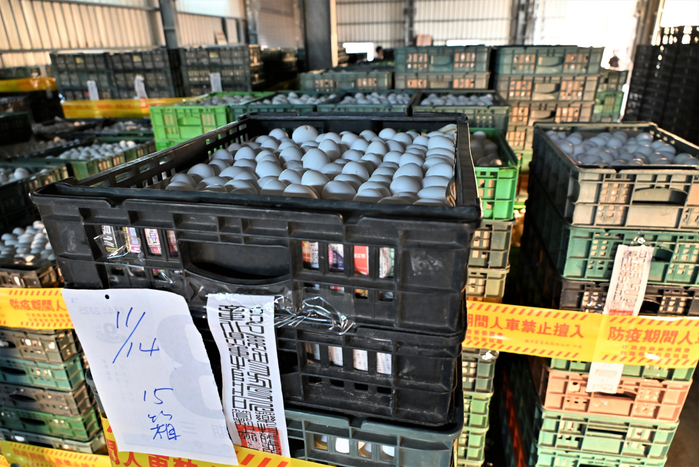 （有影片）／彰化文雅畜牧場雞蛋疑含芬普尼　25萬顆緊急銷毀 - https://www.watchmedia01.com