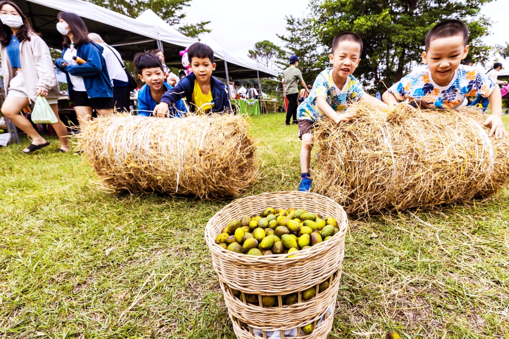 人文1冠_B-114-6_0_Fotor - 報新聞 Mega News